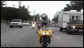 idiot-motorcycle