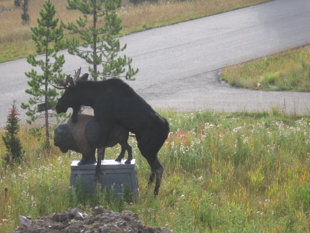 moose-fucks-statue