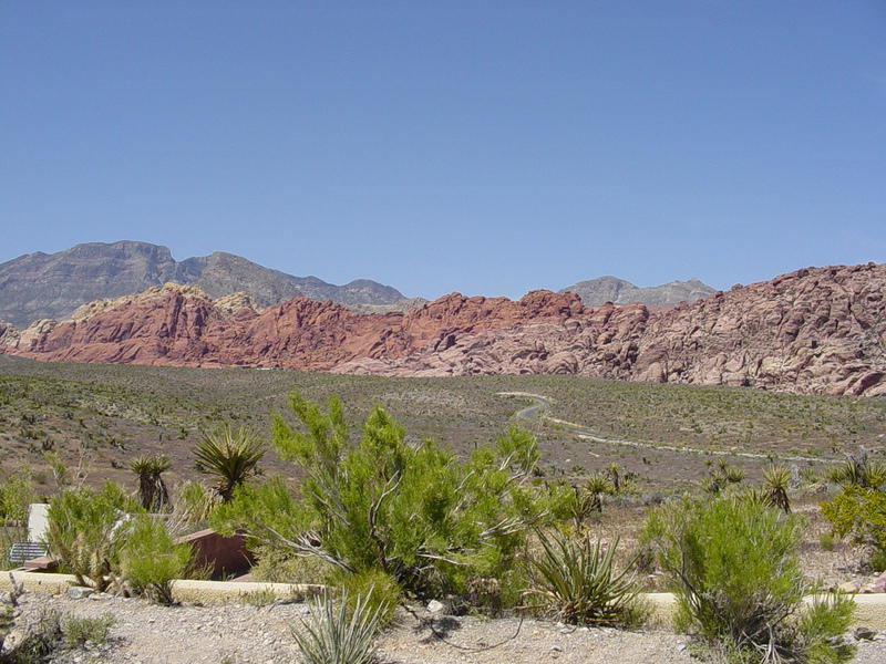 Red Rock Canyon!