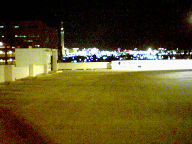 Parking garage downtown. Had it been daytime, this may have been a decent picture, but since it wasn't, it isn't.