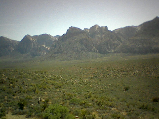 Hey look! Green stuff! IN THE DESERT!!! I believe that is why I took this picture. I think I even said something of the affect o