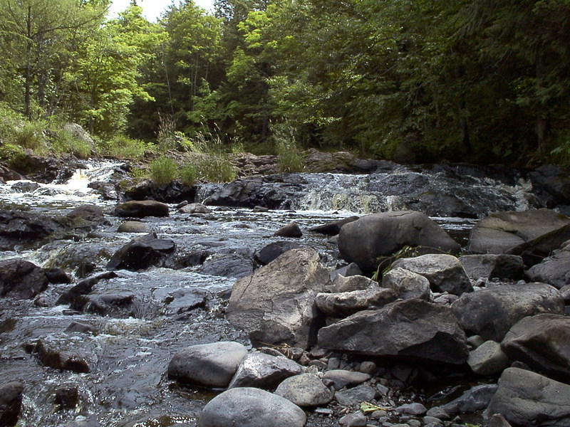 Rocks leading to Peterson Falls