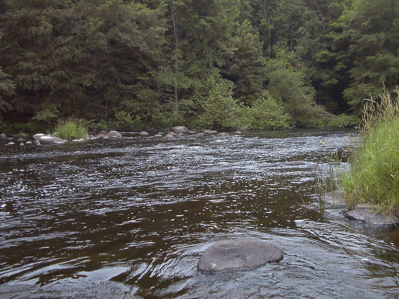 Wolf river at Military Ridge