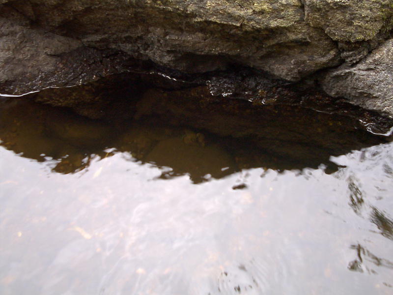 Look carefully... theres a crawfish under that rock