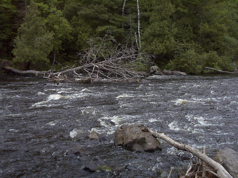 More rapids on the Wolf