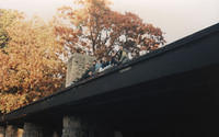 beeliners on roof of shelter at hoyt park (garg-jovian-birdy-kirke-jesto-redcat)