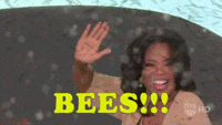 Oprahs-Bees