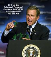 Bush on Iraq War