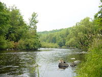 A placid portion of the Wolf river